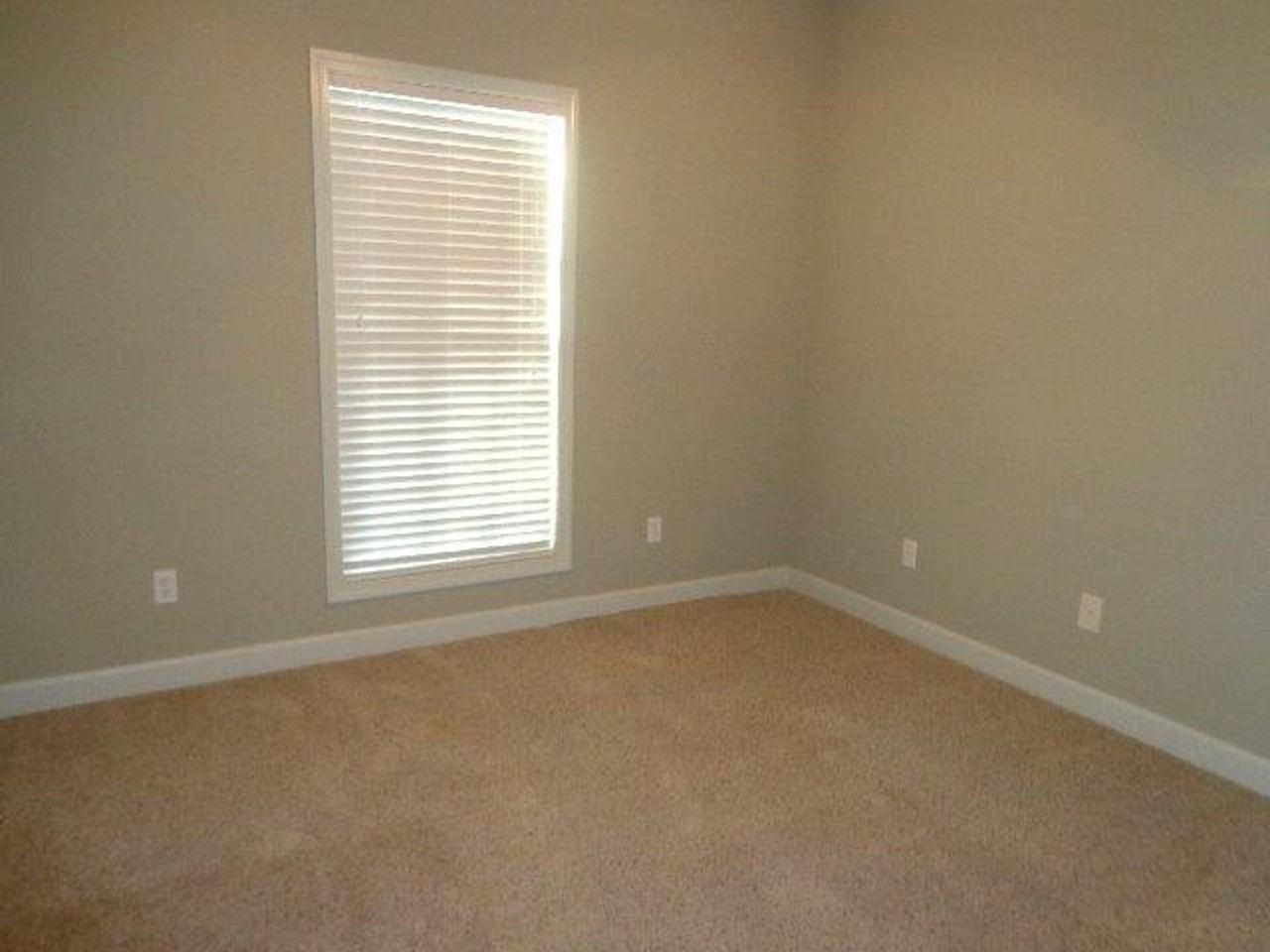 117 Avalon Ln - Photo 7 of 13