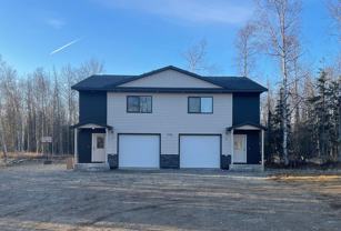 Weeping Birch - Photo 1 of 1