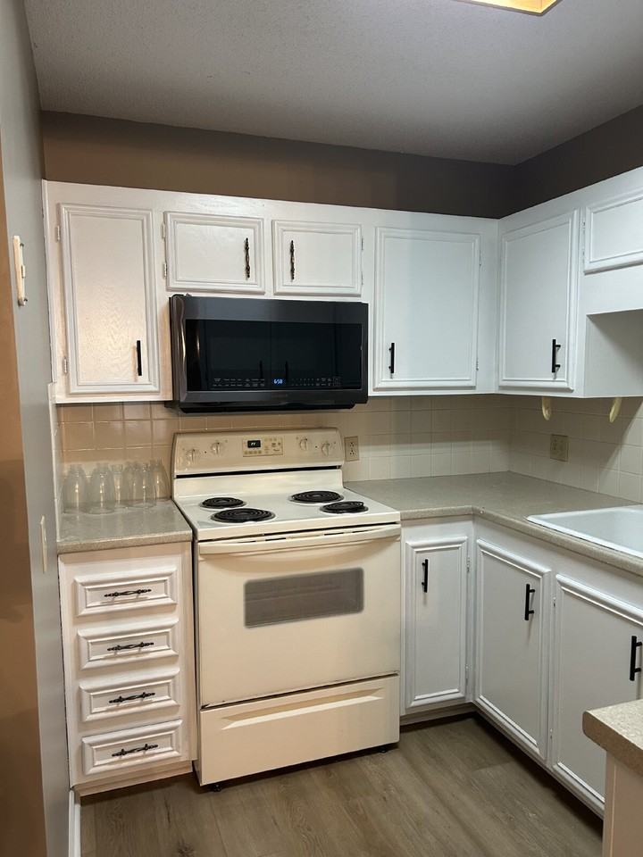 301 Windsor Manor Way - Photo 6 of 11