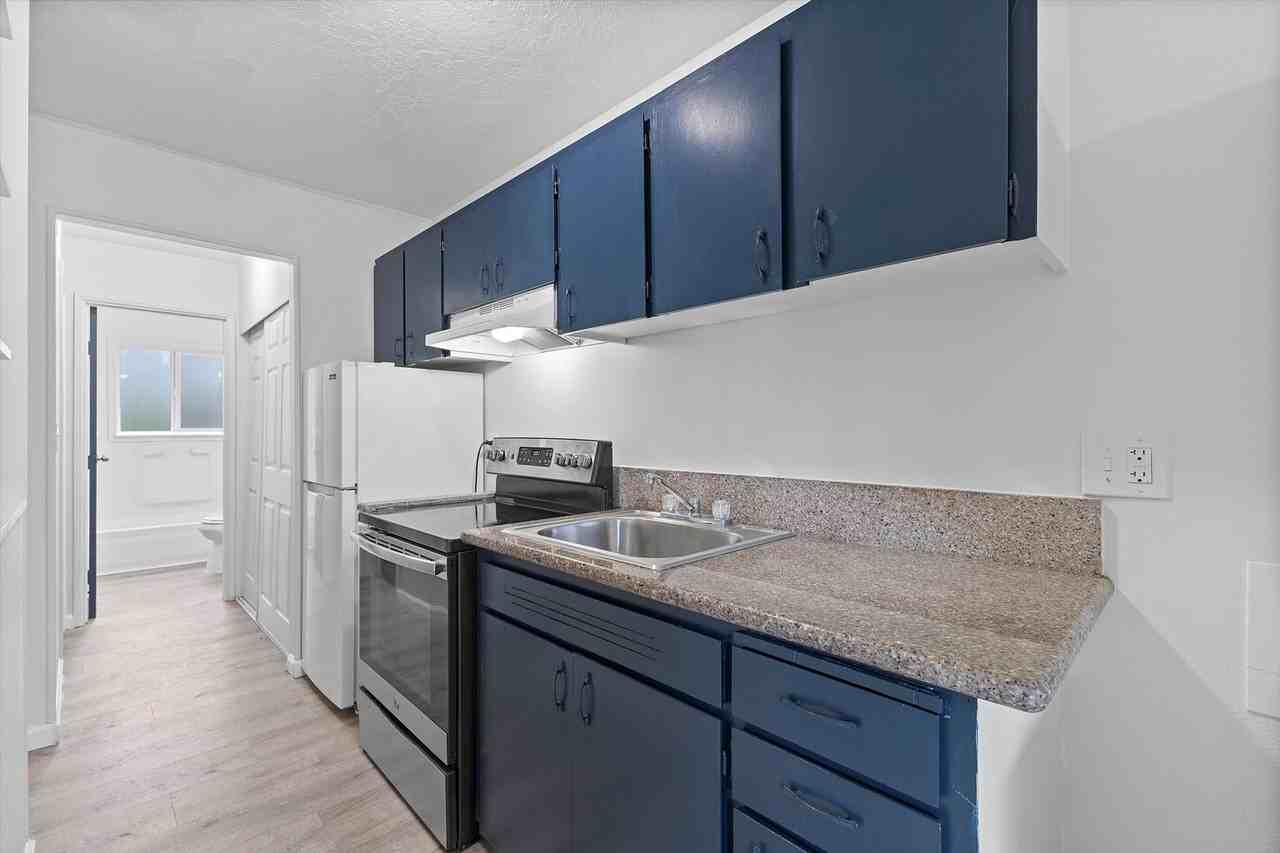 Star Krest - Photo 6 of 10