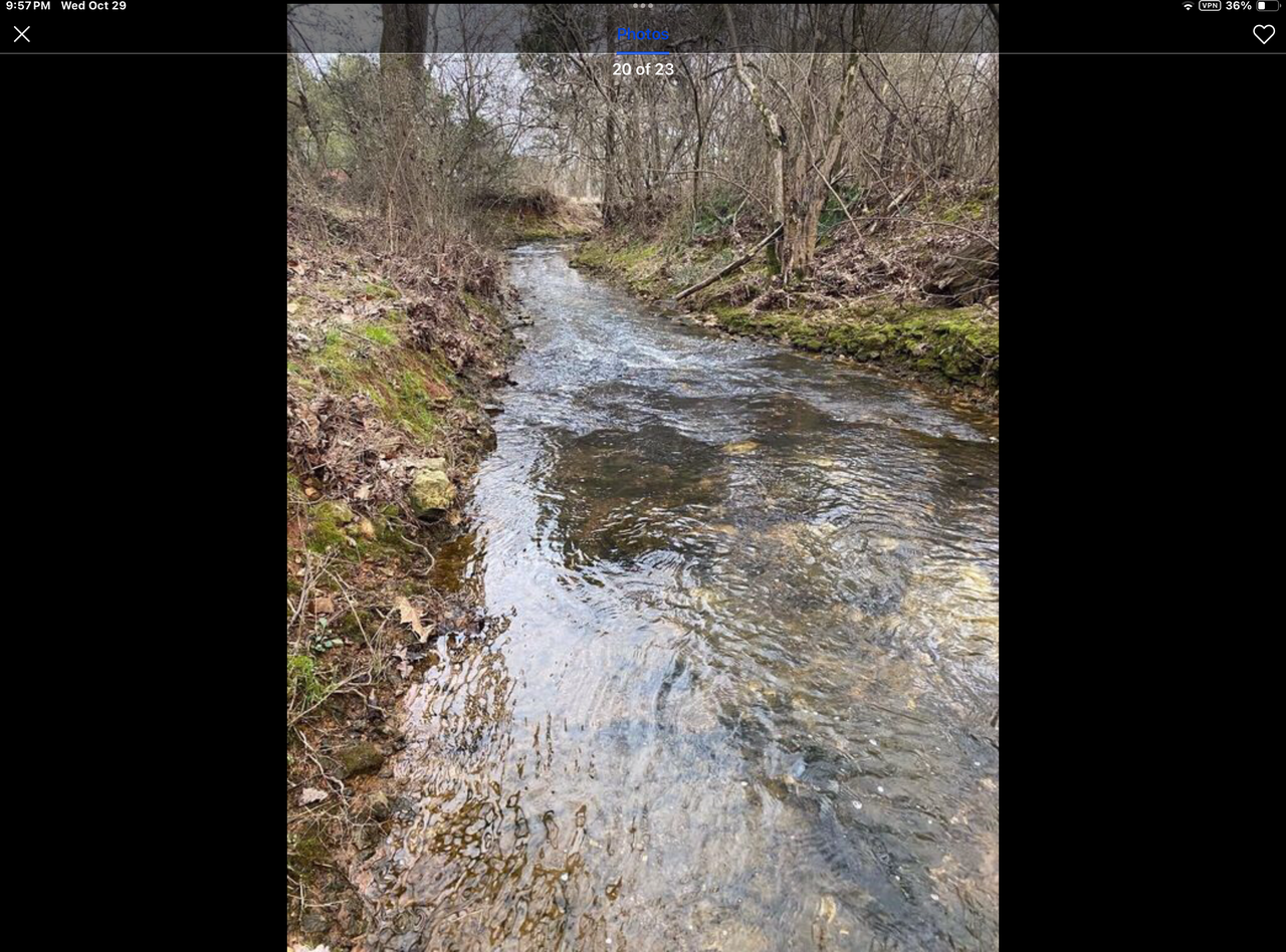 26558 Martin Branch Road #NA - Photo 3 of 11