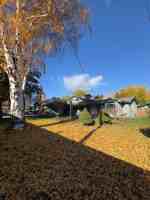 featured image of 1001 N Brooklane St