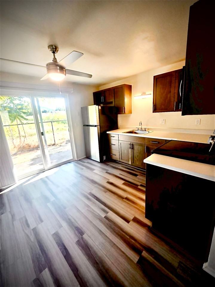 Newly Renovated Apartment Homes available now - Photo 3 of 13