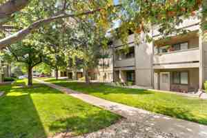 featured image of 710 City Park Ave #D431