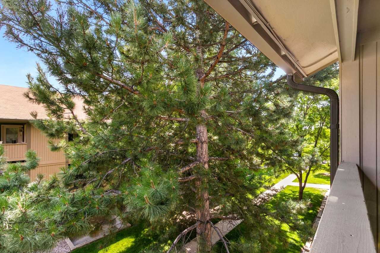 710 City Park Ave #D431 - Photo 2 of 13