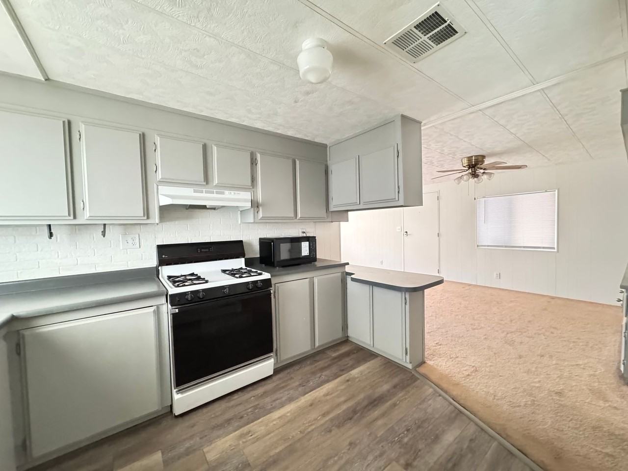 2136 Whitewater Dr - Photo 4 of 20