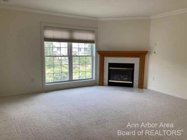 1023 Bluestem Ln - Photo 3 of 19