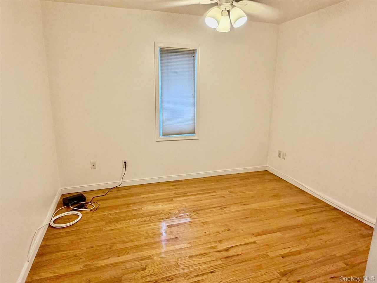 16 November Walk - Photo 7 of 11