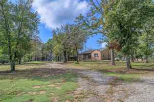 featured image of 531 Coe Lane