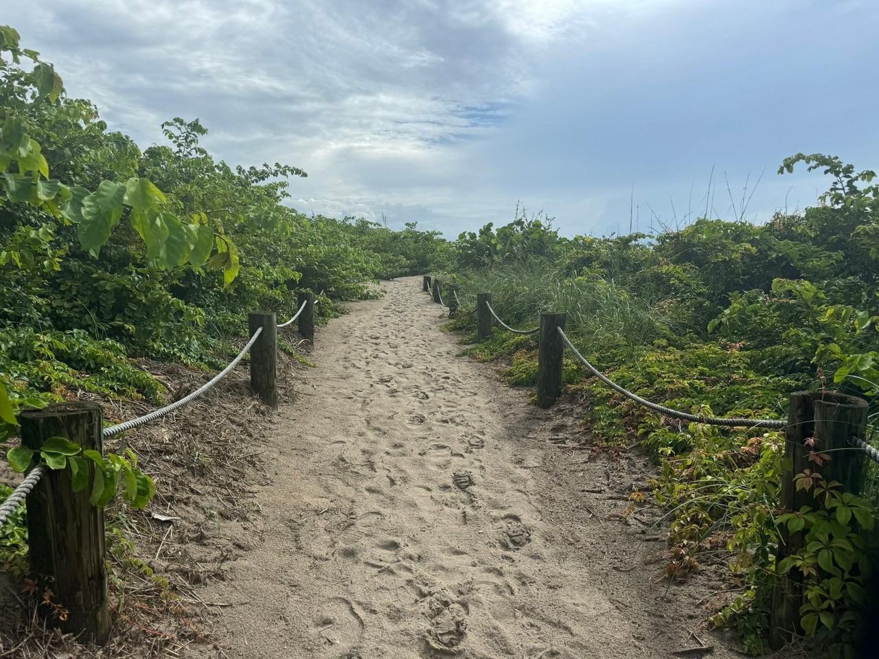 1115 S Ocean Dr #5 - Photo 5 of 48