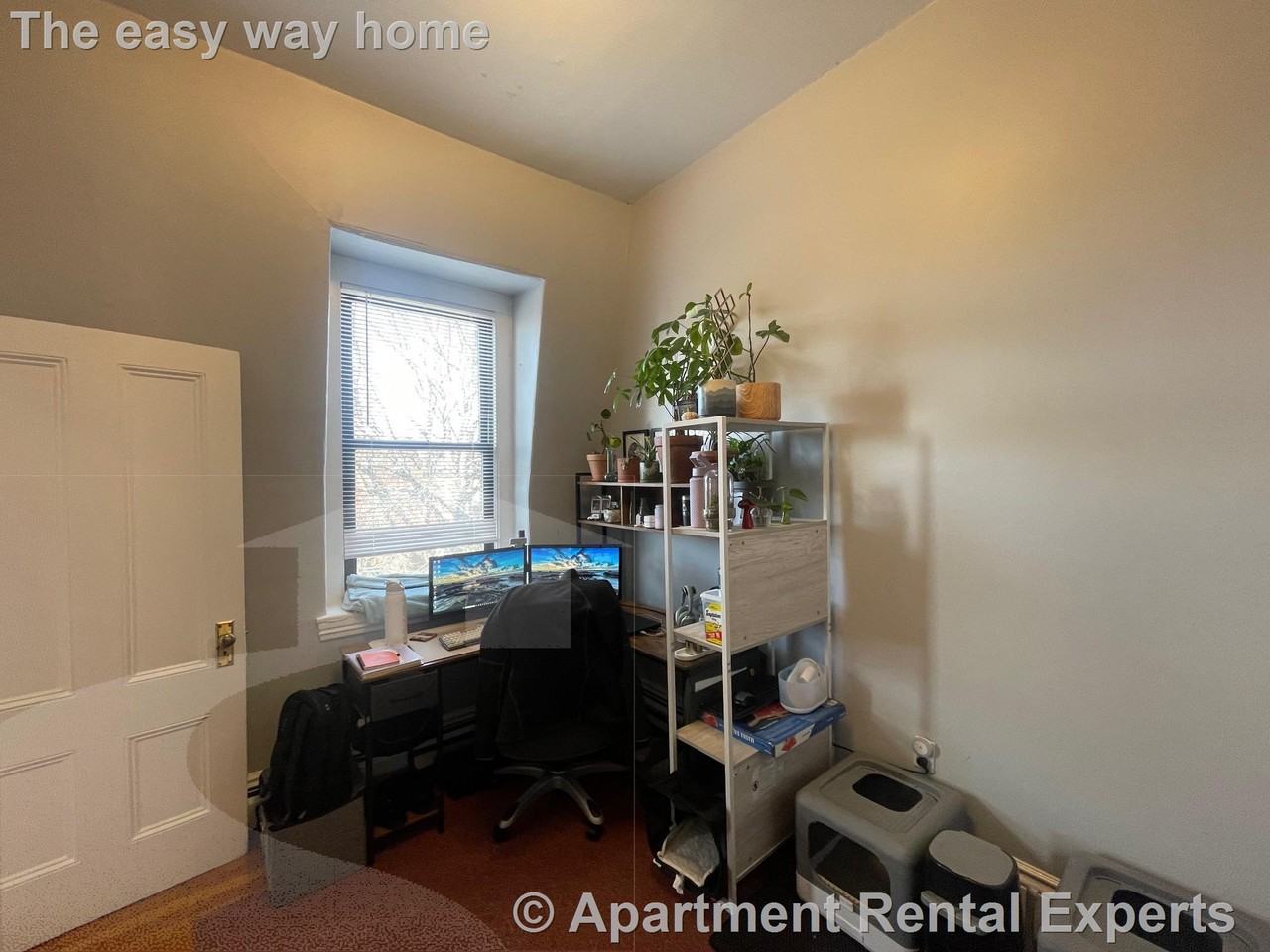 61 Adams Street #3 - Photo 4 of 11