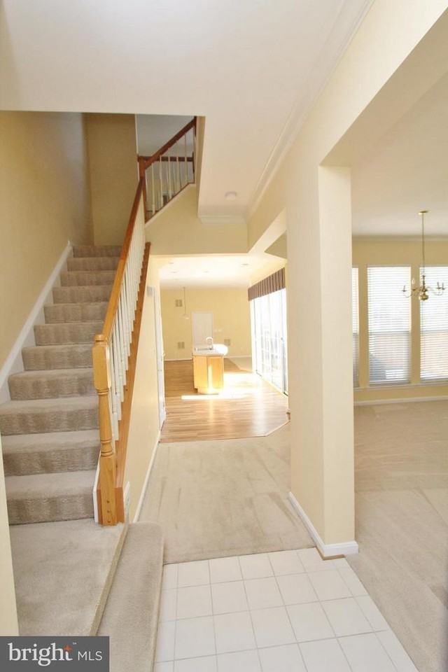 13800 Custis Sq - Photo 4 of 24