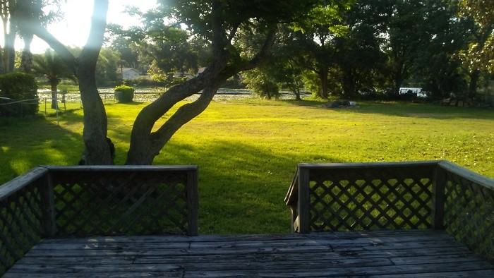 1202 Glenridge Dr - Photo 5 of 5