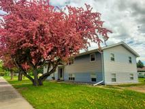 1020 Alexander St #3 - Photo 1 of 1