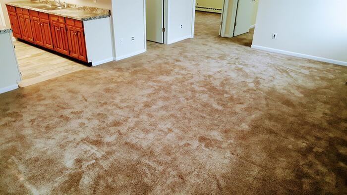 17 Lawrence St #1 - Photo 5 of 16