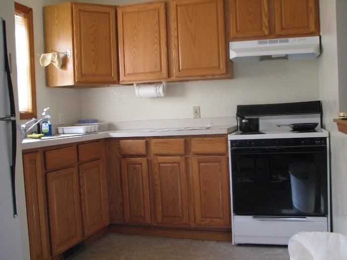 151 E Battle Creek St #1 - Photo 3 of 4