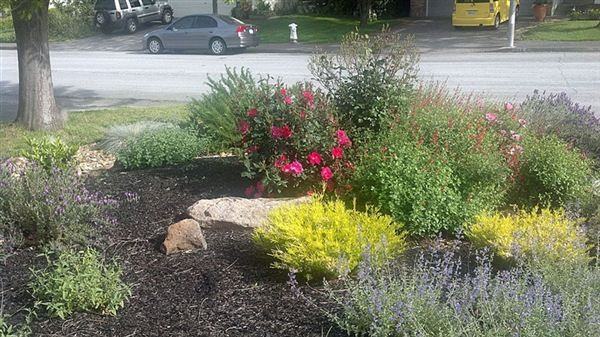 243 Wikiup Meadows Dr - Photo 2 of 10