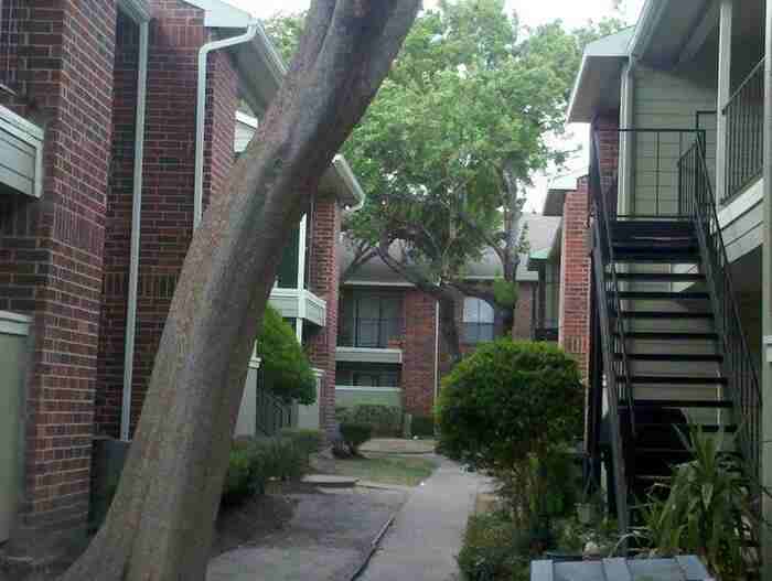 10222 S Gessner Rd #C2 - Photo 3 of 16