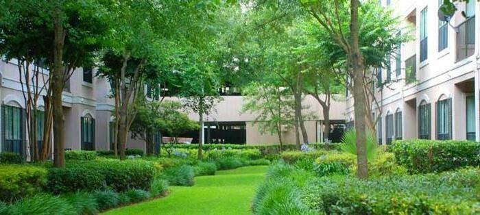 3121 Buffalo Speedway #C1 - Photo 4 of 26