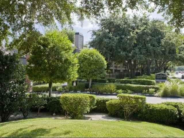 9940 Richmond Ave #B1 - Photo 5 of 17