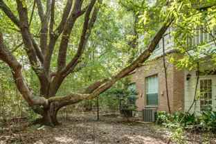 14855 Memorial Dr #B1 - Photo 1 of 1