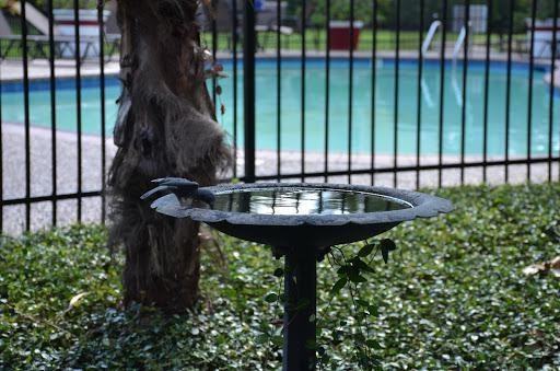 2800 W T C Jester Blvd #B1 - Photo 5 of 15