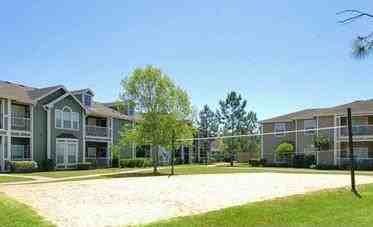 5000 Watkins Way #D1 - Photo 6 of 13