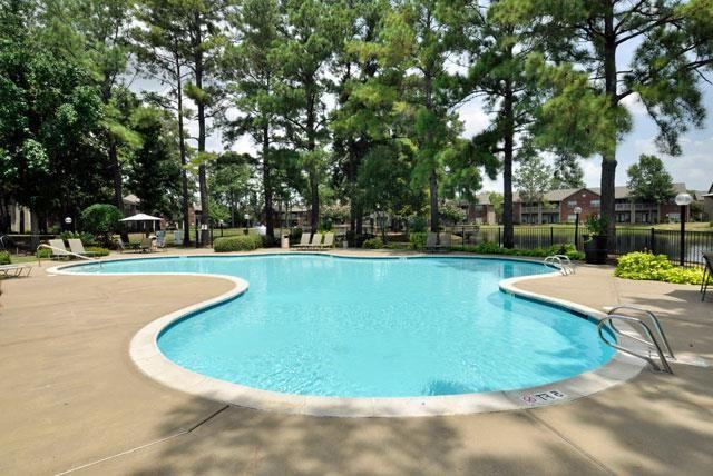 16755 Ella Blvd #D2 - Photo 7 of 49