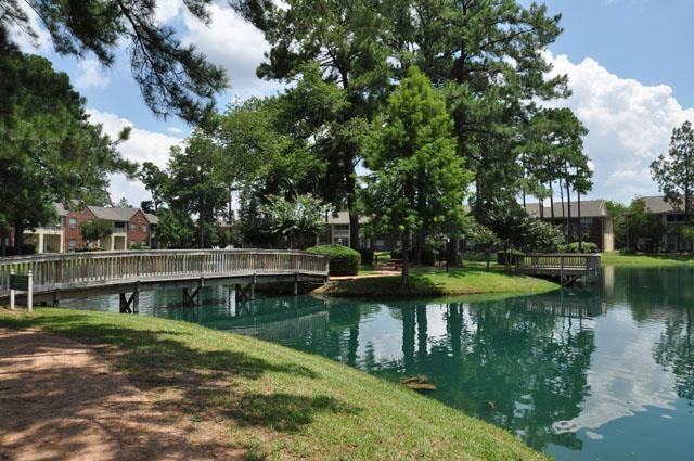 16755 Ella Blvd #B1 - Photo 3 of 48