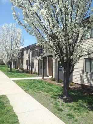 1200 S Dairy Ashford Rd #C2 - Photo 3 of 21