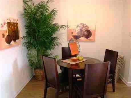 10215 Beechnut St #C4 - Photo 6 of 10