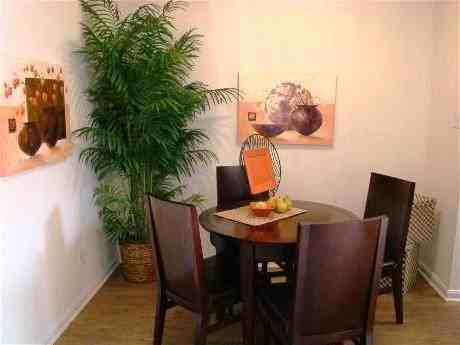 10215 Beechnut St #B1 - Photo 6 of 9