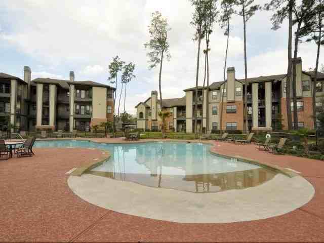 7215 Spring Cypress Rd #C5 - Photo 4 of 16