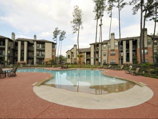 7215 Spring Cypress Rd #B1 - Photo 4 of 13