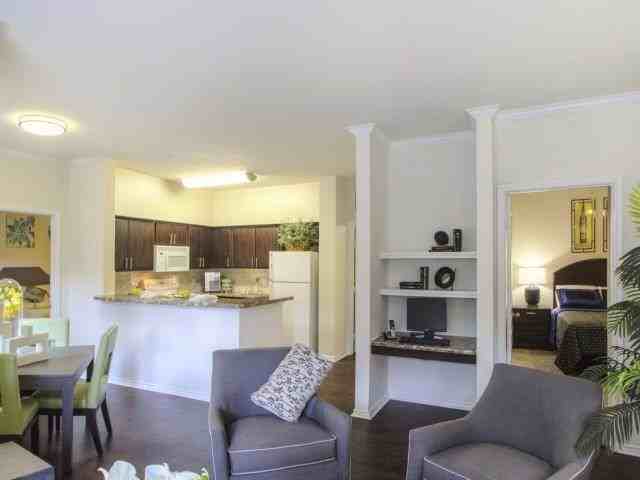 7215 Spring Cypress Rd #B3 - Photo 6 of 16