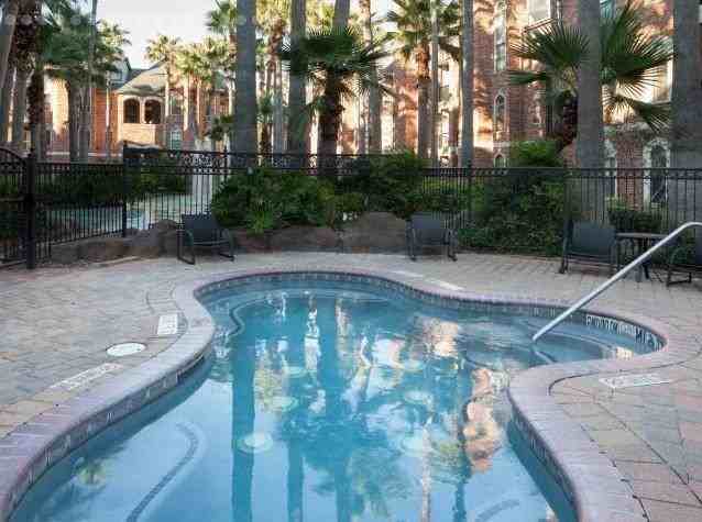 2345 Bering Dr #C3 - Photo 5 of 20