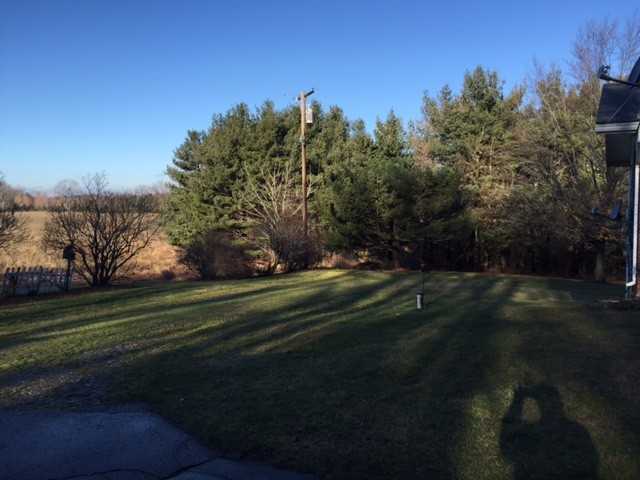 1431 Indian Rd - Photo 3 of 13