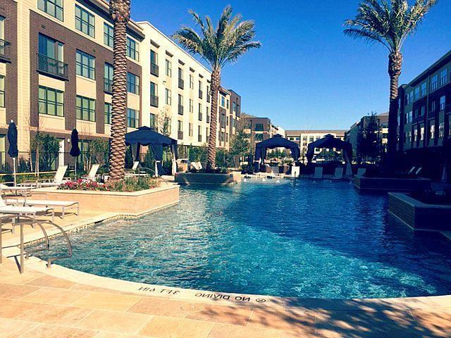 7100 Old Katy Rd #B4 - Photo 5 of 29