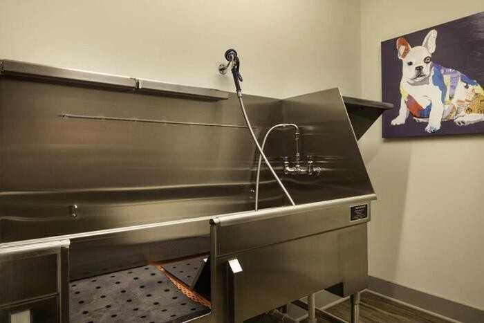 1235 Nasa Pkwy #C3 - Photo 7 of 21