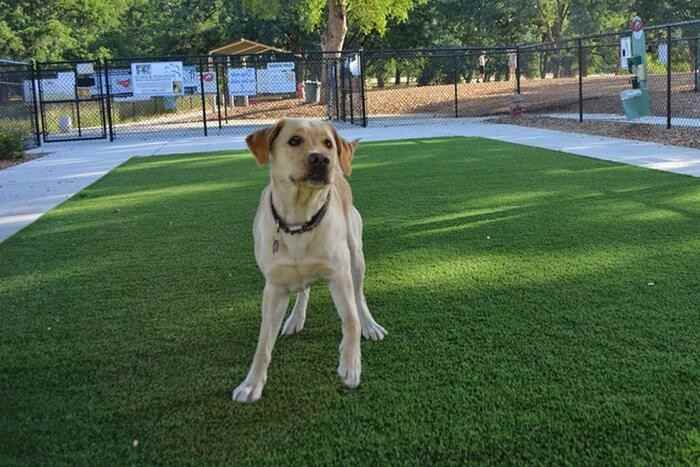 1235 Nasa Pkwy #B3 - Photo 6 of 23