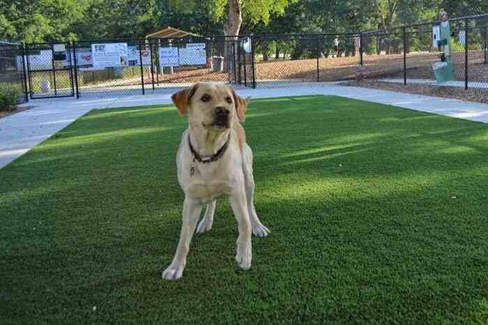 1235 Nasa Pkwy #B6 - Photo 6 of 23