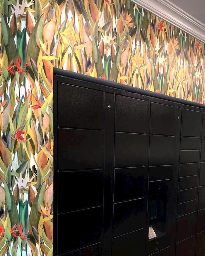 3900 Dacoma St #B2 - Photo 5 of 26