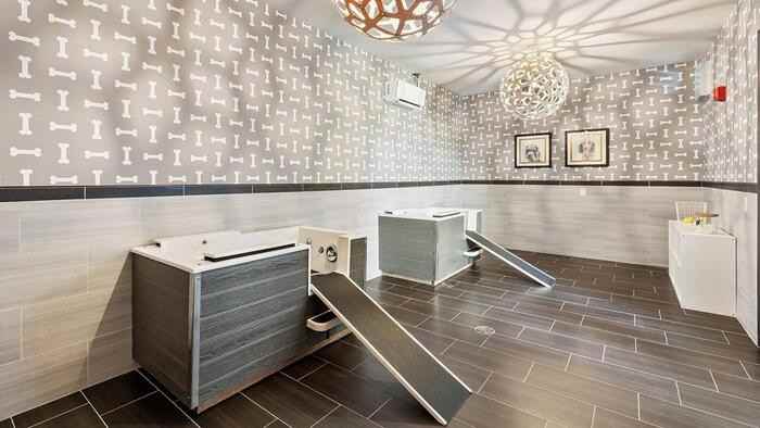 2121 Edwards St #B5 - Photo 6 of 25