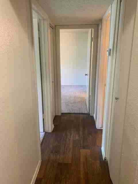 3600 Greystone Dr #C1 - Photo 3 of 24