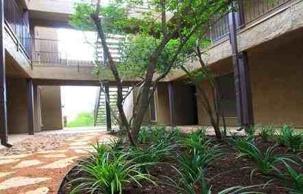 6201 Sneed Cv #C1 - Photo 3 of 18