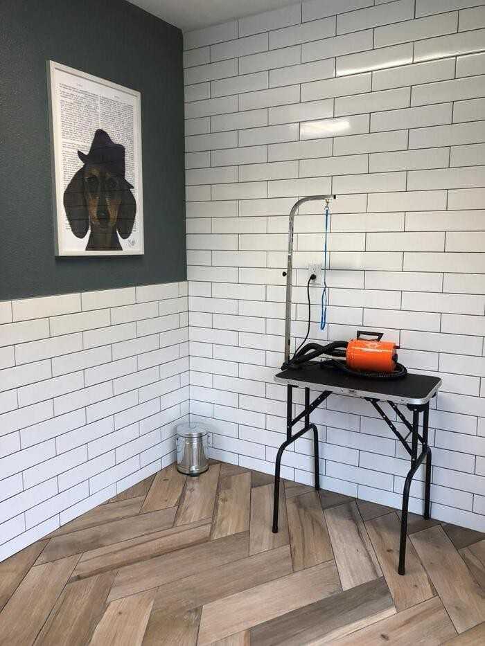 500 E Stassney Ln #C4 - Photo 5 of 12