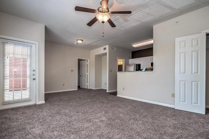 333 E Slaughter Ln #D1 - Photo 7 of 9