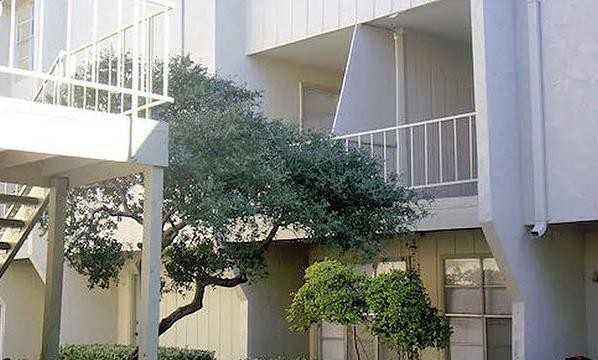 3423 Forest Ln #C1 - Photo 3 of 8