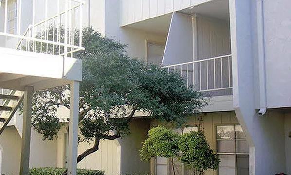 3423 Forest Ln #C2 - Photo 3 of 9