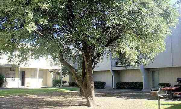 3423 Forest Ln #C2 - Photo 6 of 9